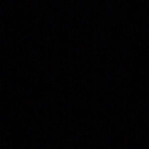 Meet your Posher, Bailey